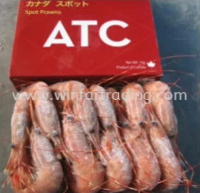 BOTAN EBI XL 1KG
